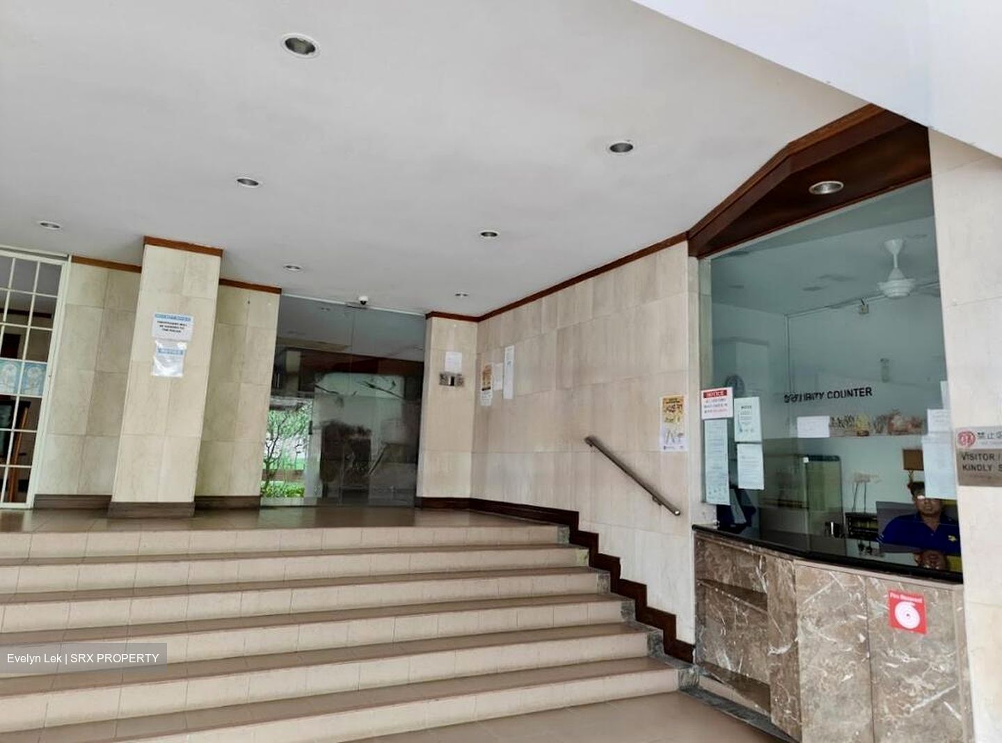 Tan Tong Meng Tower (D11), Apartment #459522791